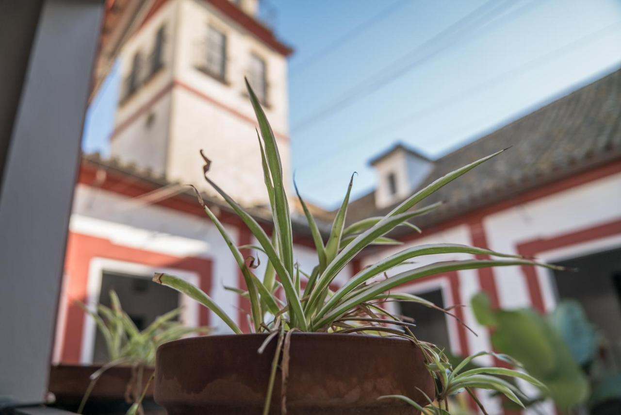 Casa Palacio San Agustín Apartamento 10 Sanlúcar de Barrameda Exterior foto